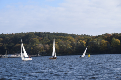 DSC_1000
